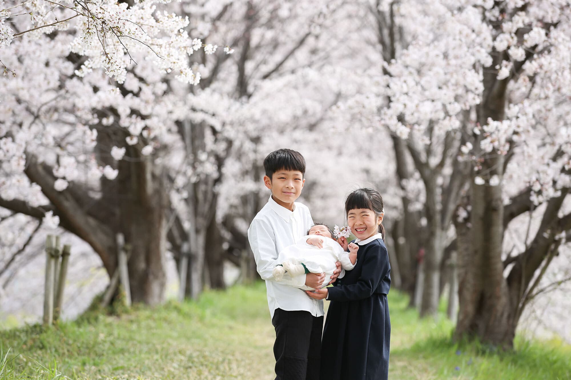 京都の桜撮影会
