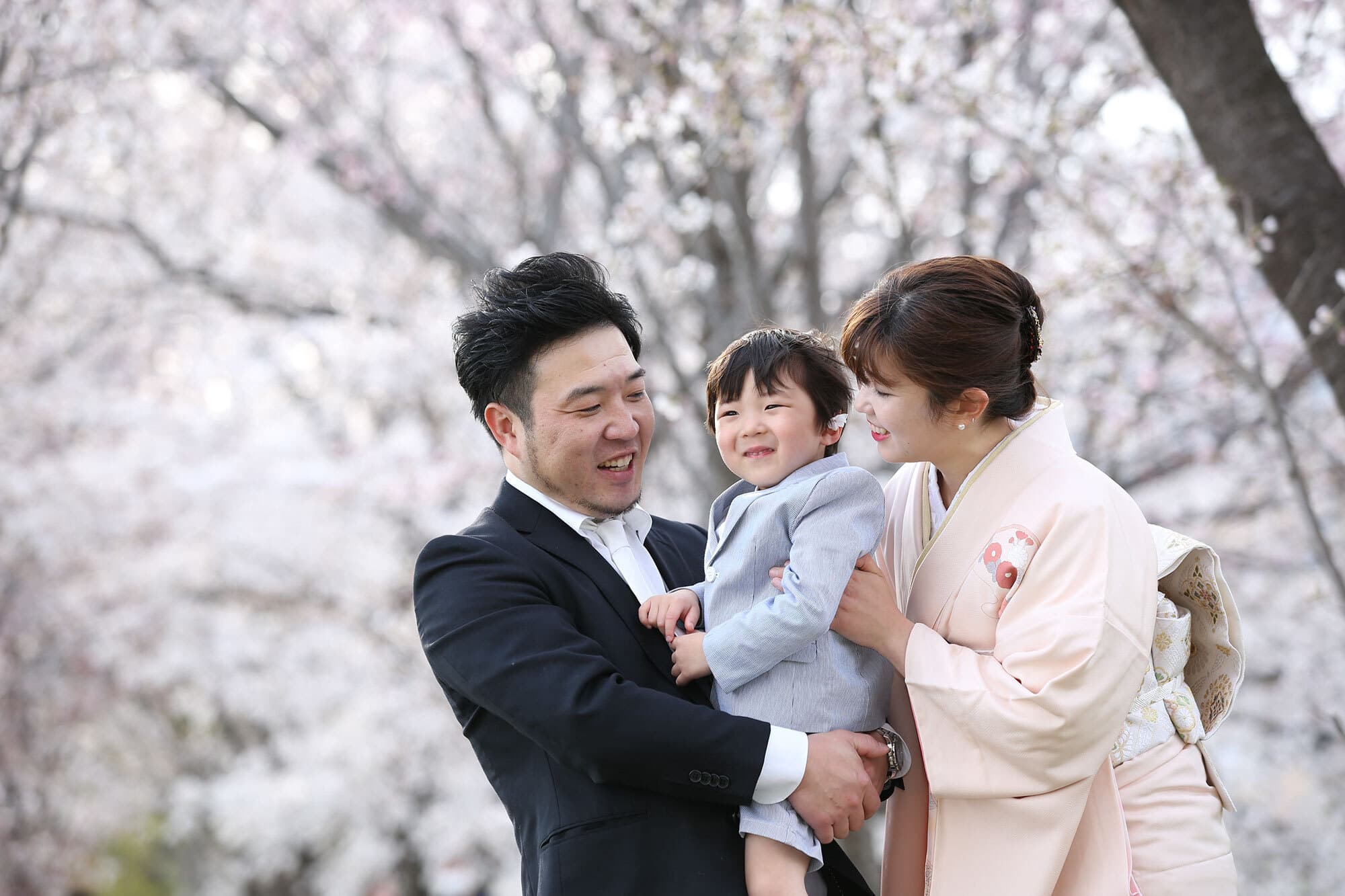 京都の桜撮影会