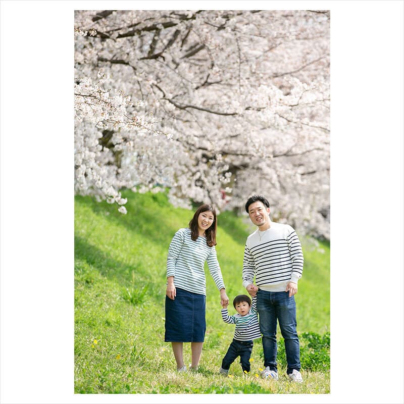 京都で桜撮影会