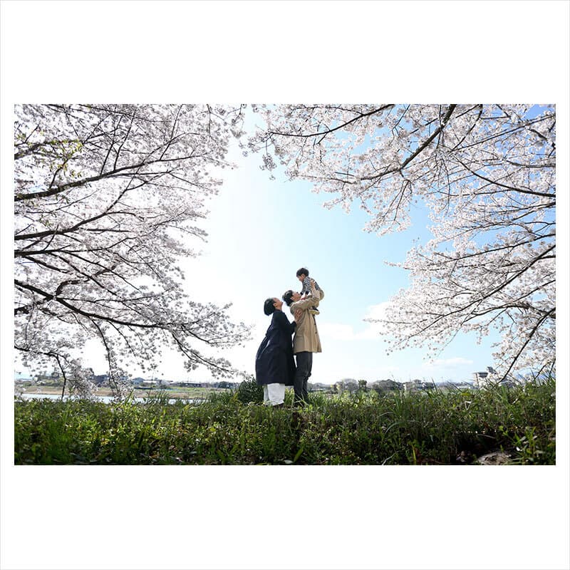 京都で桜撮影会