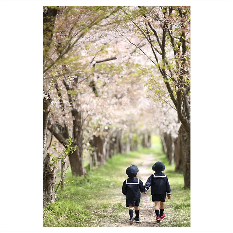 京都で桜撮影会
