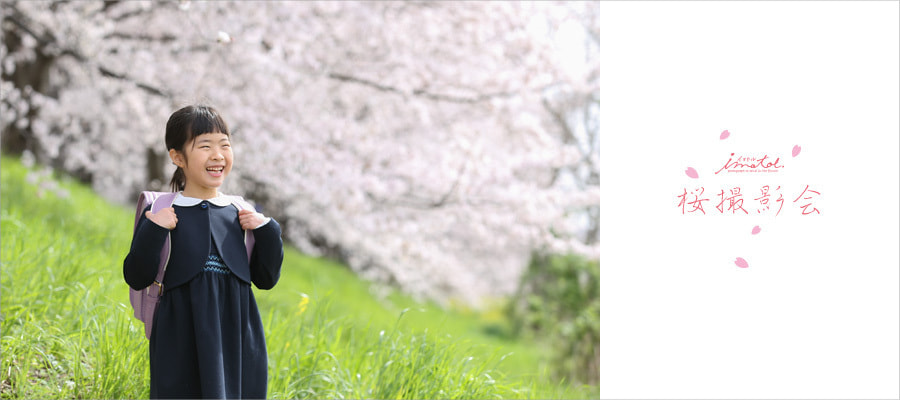 京都で桜撮影会