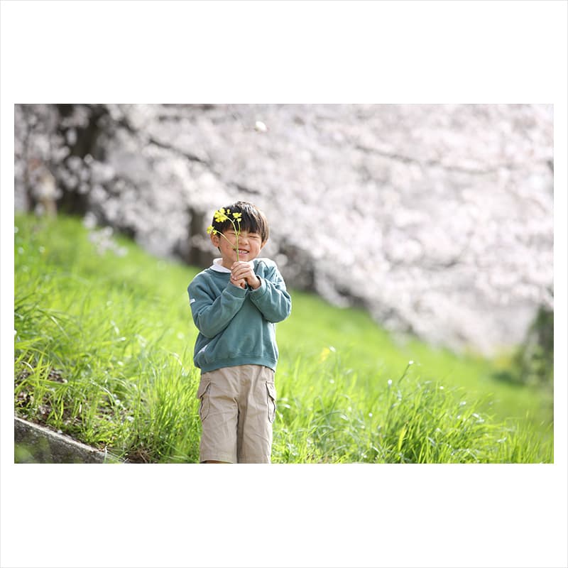 京都で桜撮影会