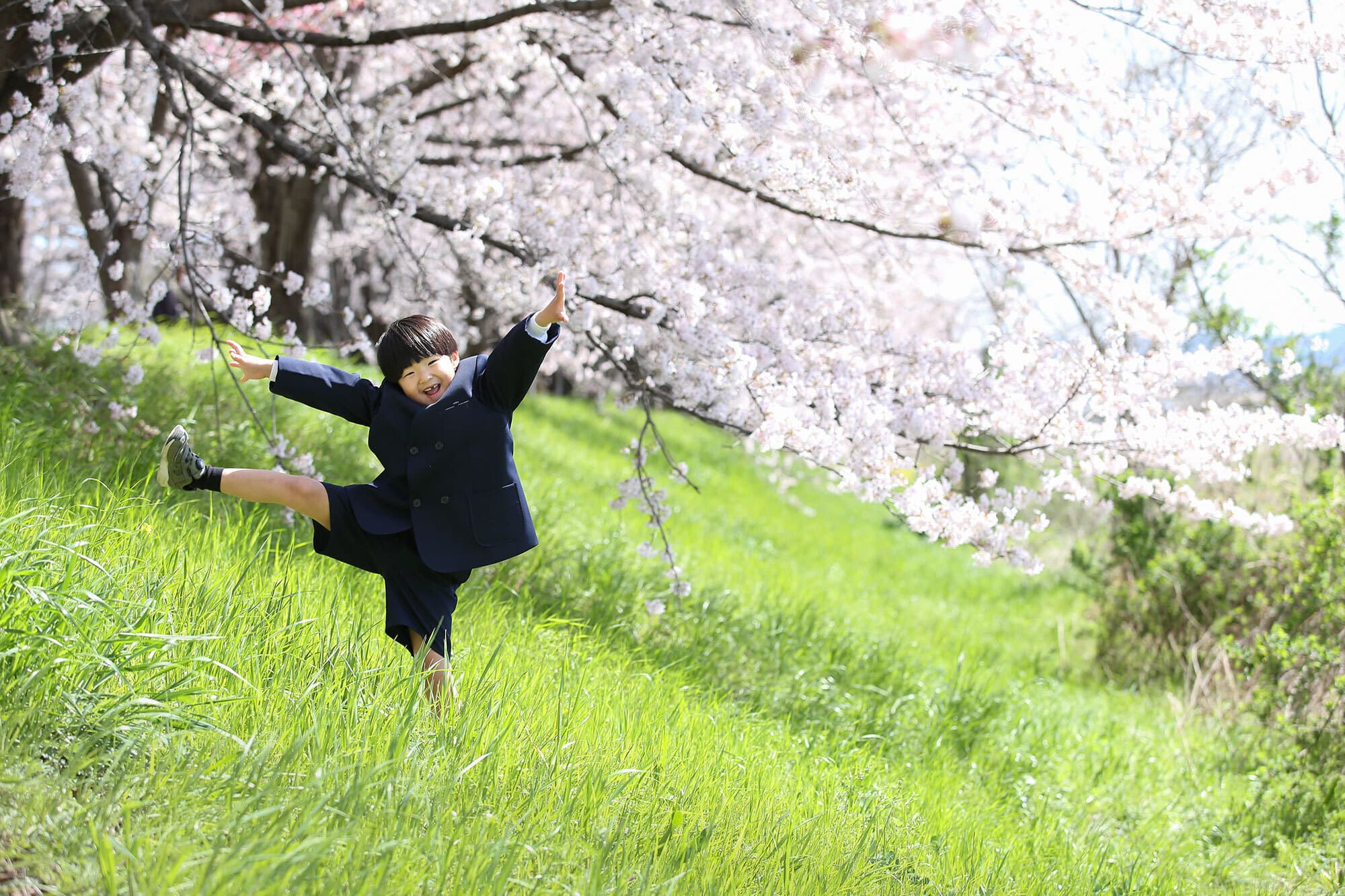 桜で入園入学のロケーション撮影