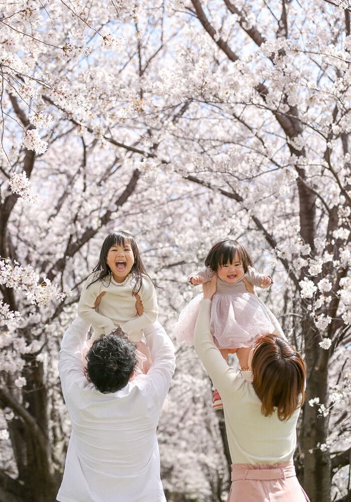 桜で家族写真のロケーション撮影