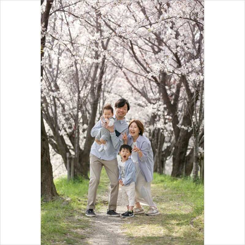 桜で家族写真をロケーション撮影