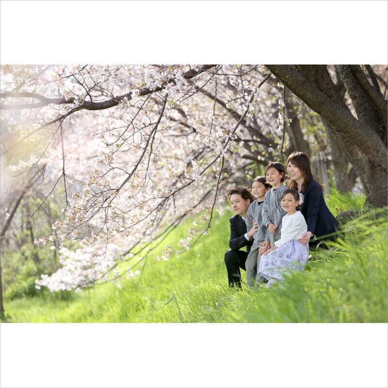 桜で入園入学記念をロケーション撮影