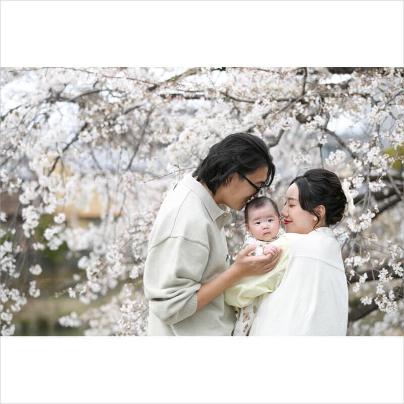 桜で家族写真をロケーション撮影