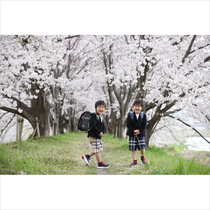 桜で入園入学記念をロケーション撮影