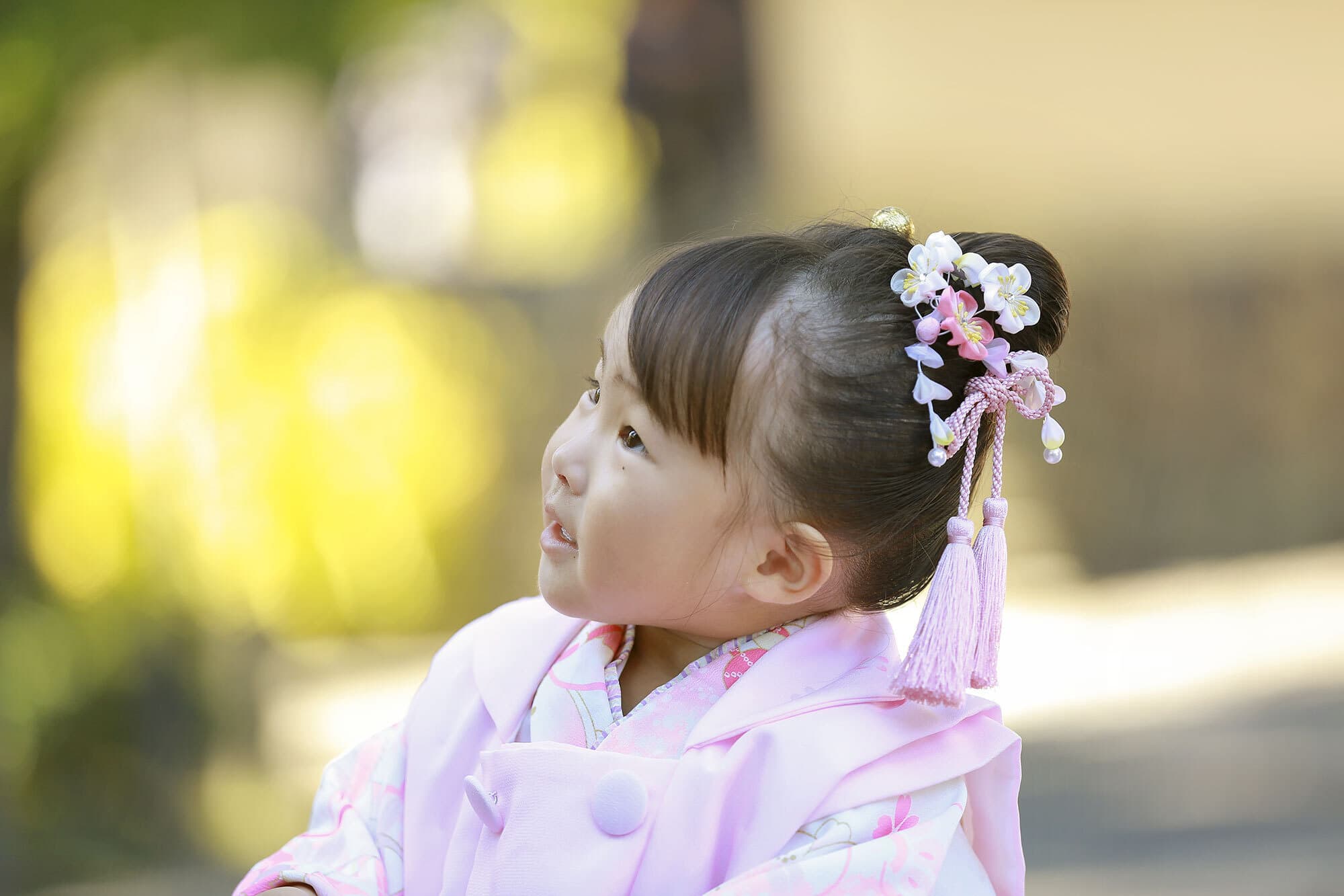 松尾大社七五三出張撮影