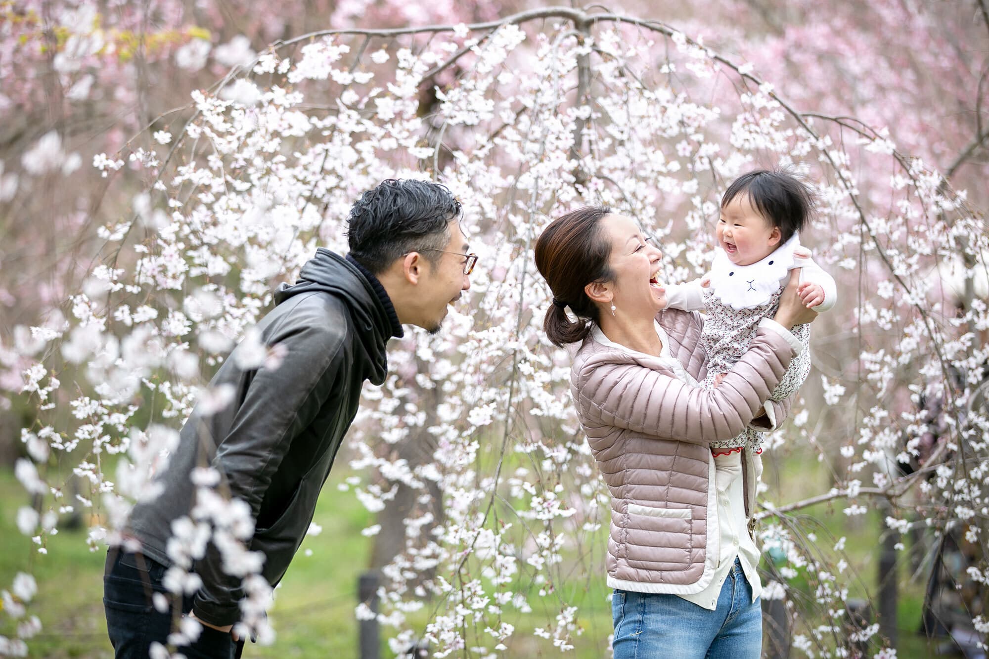 桜で家族写真のロケーション撮影