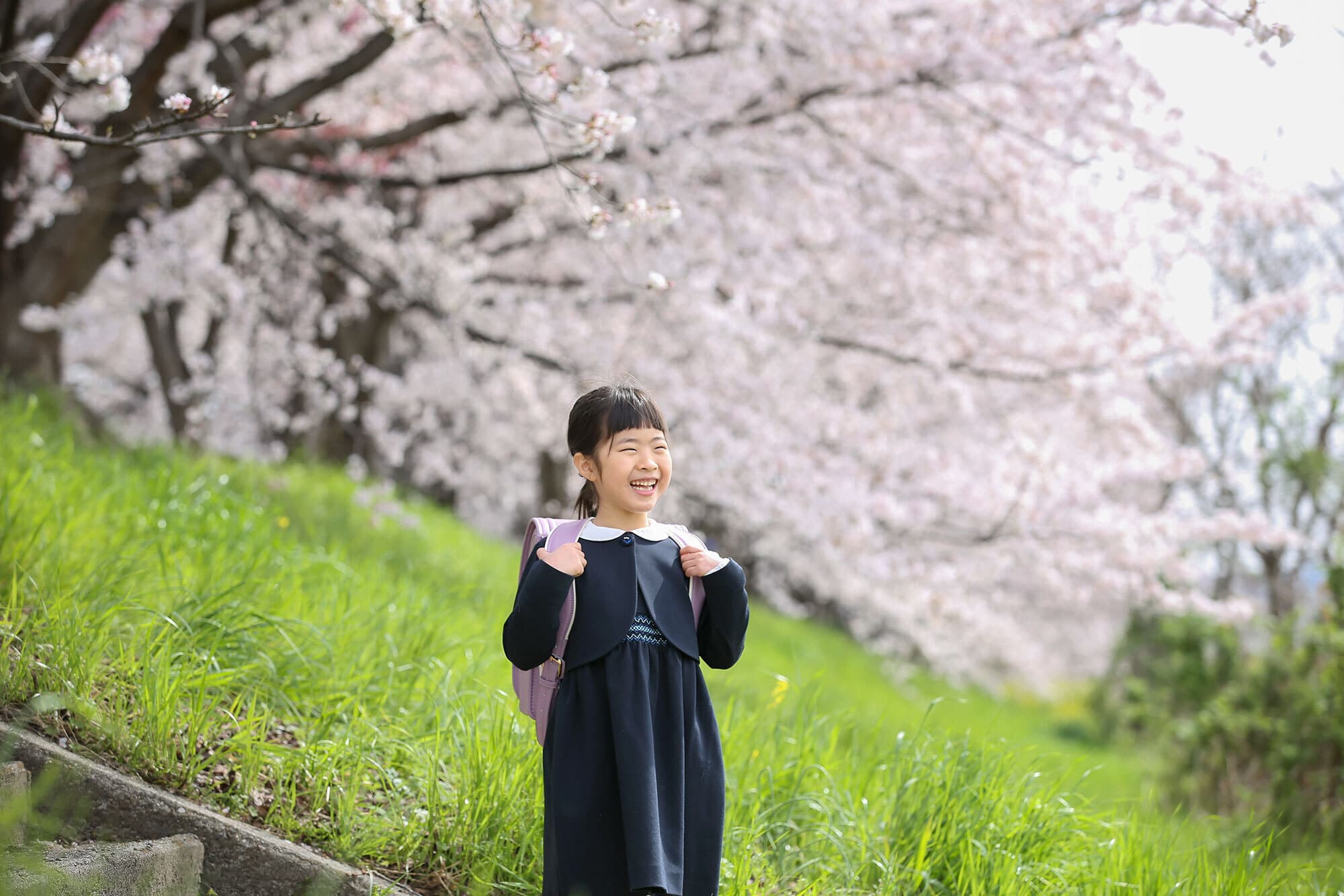 桜で入学記念のロケーション撮影