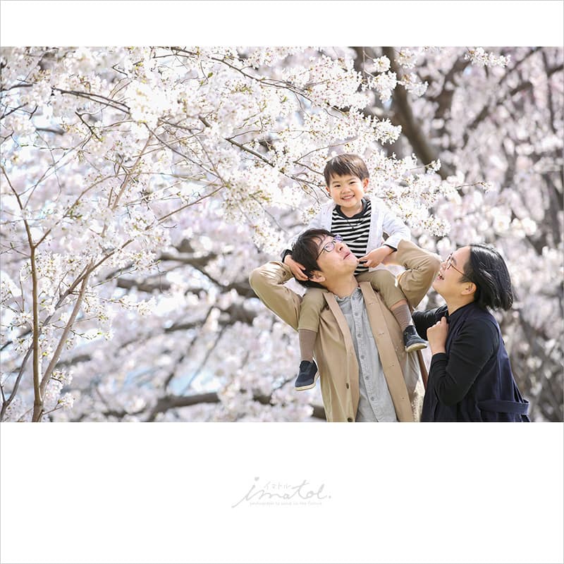 桜で家族写真のロケーション撮影