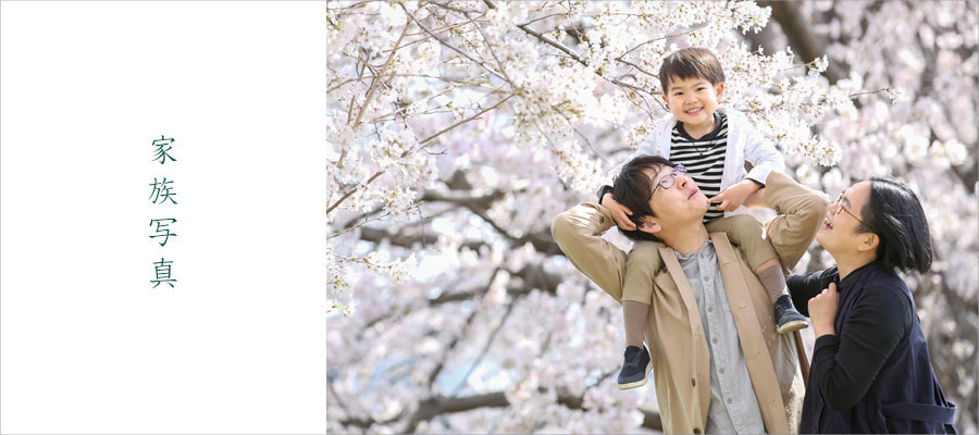 桜で家族写真のロケーション撮影
