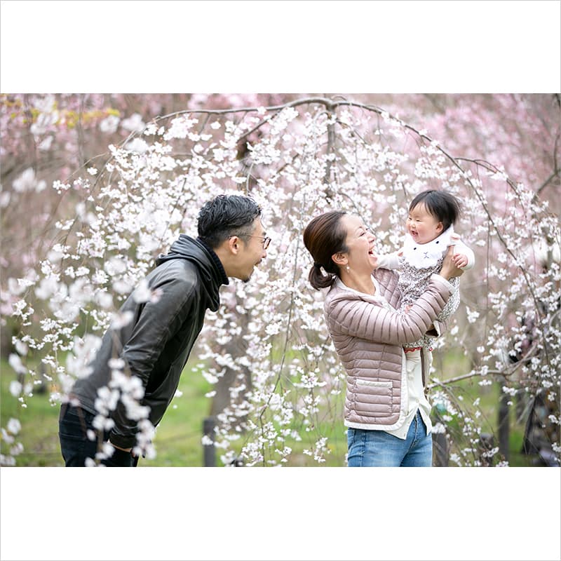 桜で家族写真のロケーション撮影